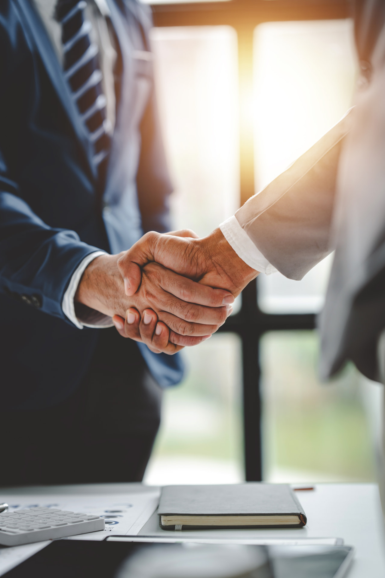 Business partners shaking hands after an agreement